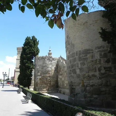 Miguel Molino *